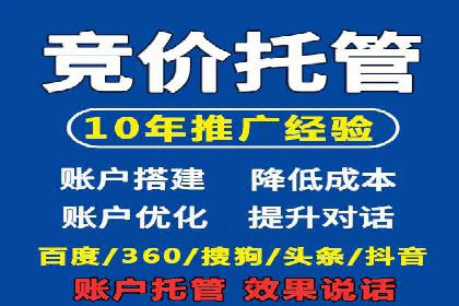 成功SEM推广代运营案例展示